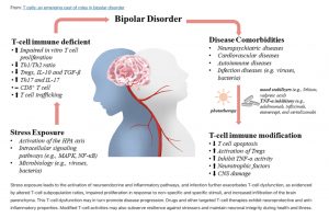 Las enfermedades psiquiátricas, como el trastorno bipolar, han quedado relegadas a un segundo plano por el incremento de los trastornos de origen psicosocial.