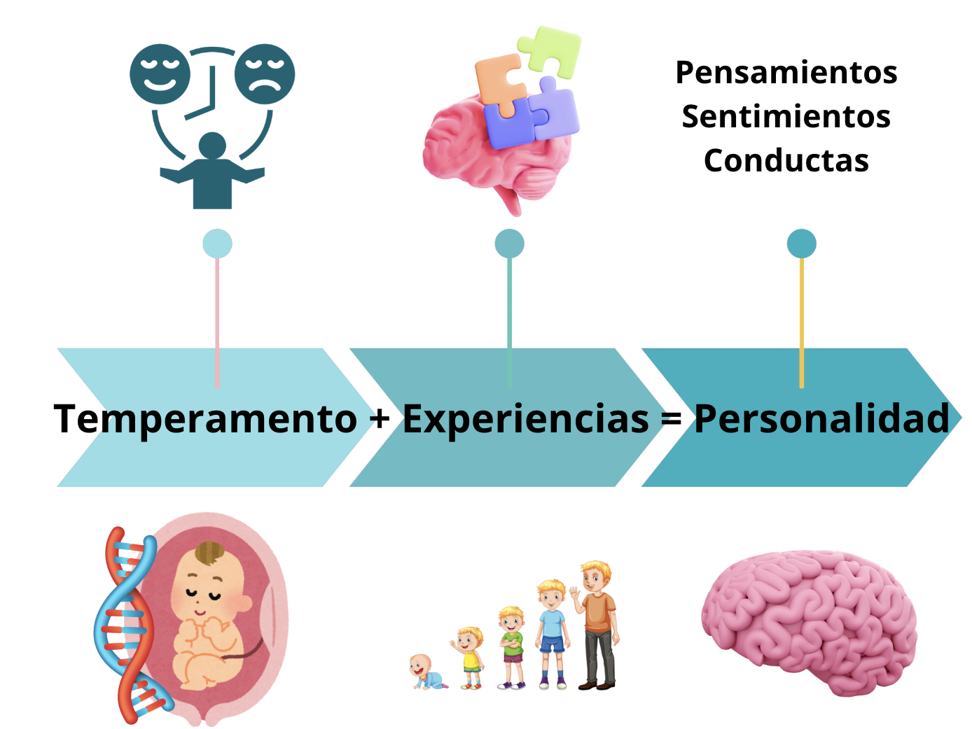 El temperamento es la forma de ser con la que nacemos, lo que heredamos de nuestros familiares, no solamente de nuestros padres sino de generaciones anteriores.